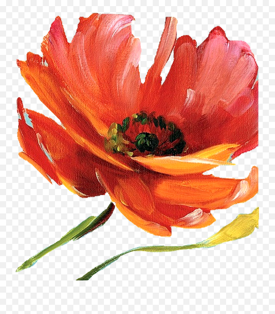 Wallpapers V57 Png Painted Flowers Backgrounds Mob - Red And Orange Flowers Watercolor,Painted Flowers Png