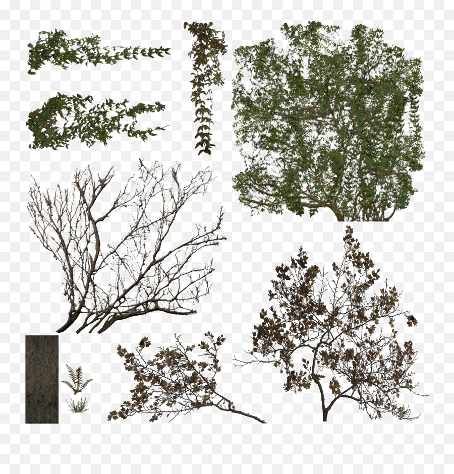 Index Of Viewerresourcesmaterialsmodelspropsfoliage - Tree Png,Vtf To Png