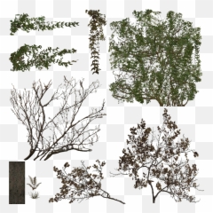 Index Of Viewerresourcesmaterialsmodelspropsfoliage - Tree Png,Vtf To Png