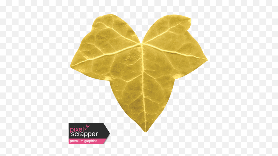 Christmas Day - Araliaceae Png,Gold Leaves Png