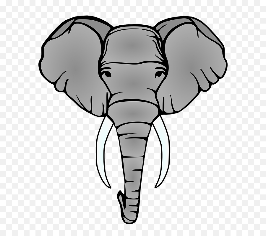 Elephant Head Tusks - Big Png,Elephant Head Png