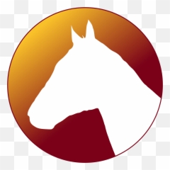 Dentistry - Mustang Png,Aniami Teeth Icon