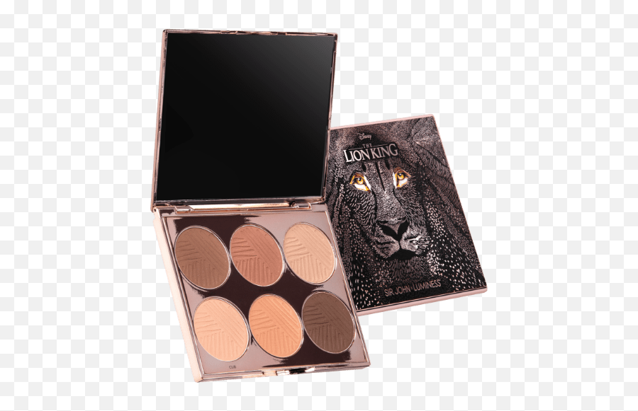 Airbrush Makeup System - Kingdom Sculpting Palette Png,Absolute Icon Eyeshadow Palette