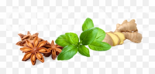 P 961x472 Spices Pictures V49 Png - Portable Network Graphics,Herbs Png
