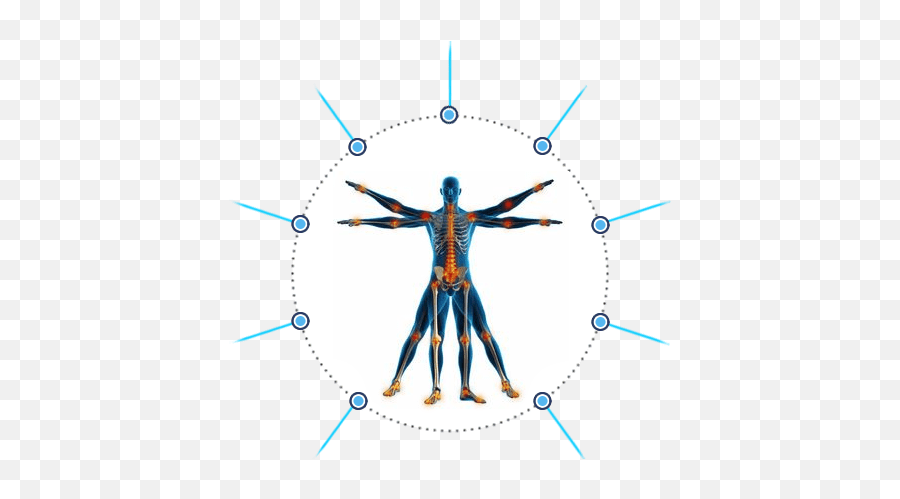 Brooklyn Pain Management Doctors U0026 Specialists Sports - Transparent Human Anatomy Clip Art Png,Vitruvian Man Icon