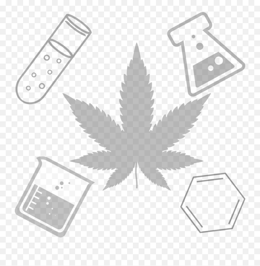 Cannabis And Cbd Beauty Review The Satori Chemist - Weed Leaf Png Transparent,Marijuana Transparent
