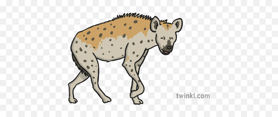 Hyena 4 Illustration - Twinkl Ww1 Poison Gas Clipart Png,Hyena Png
