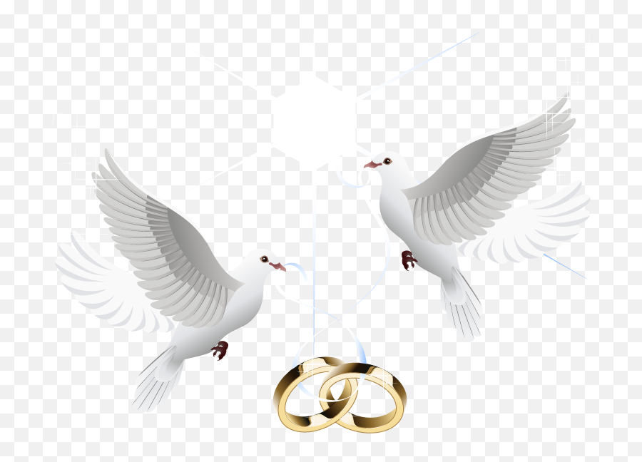 Marriage Wedding Download Hd Png - Dove Vector,Marriage Png