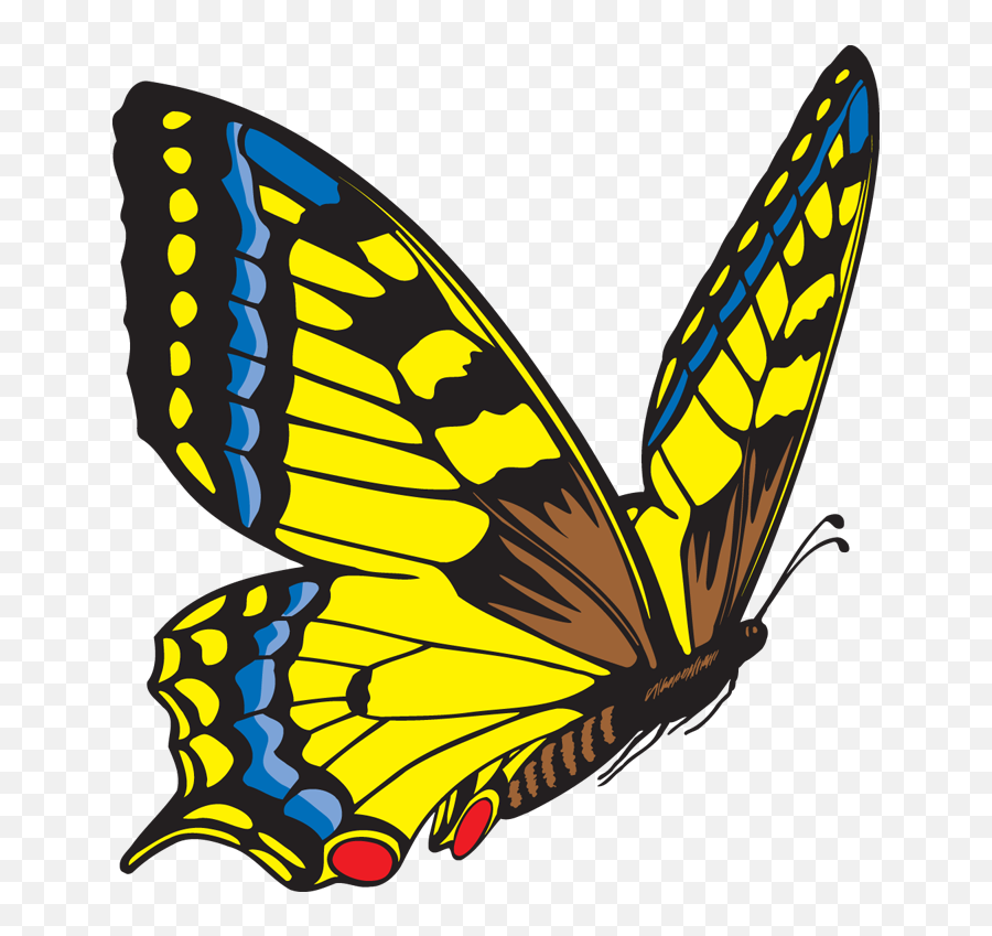 Purple And Yellow Butterfly Png - Flying Butterfly Clip Art,Purple Butterfly Png