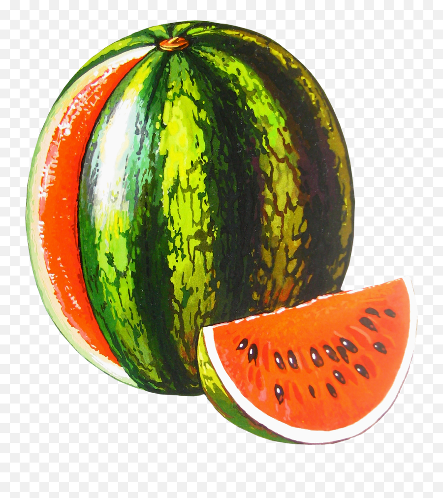 Watermelon Png Image Clip Art - Dibujo Con La Letra Sandia,Watermelon Png Clipart