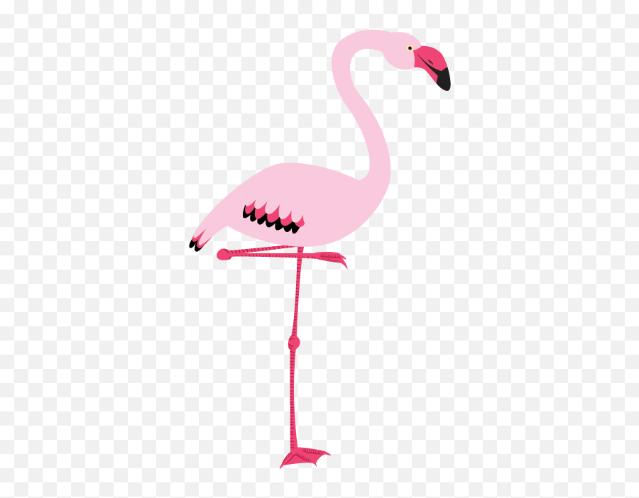 Flamingo Rosa Png 2 Image - Fenicottero Png,Flamenco Png