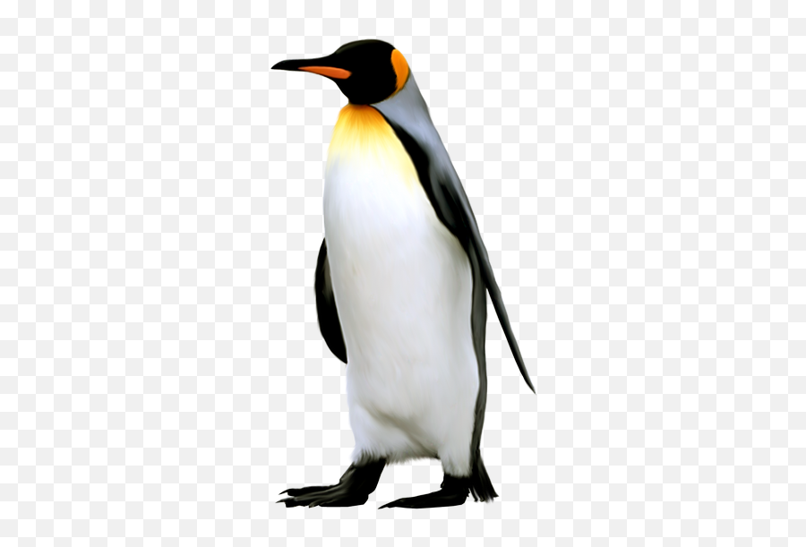 Penguin Png Images Free Download Winter Clipart - Emperor Penguin Transparent Background,Penguin Png