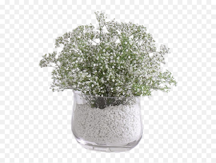 Breath Vase Arrangement - Baby Breath Png,Baby's Breath Png