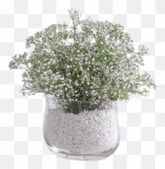 Breath Vase Arrangement - Baby Breath Png,Baby's Breath Png