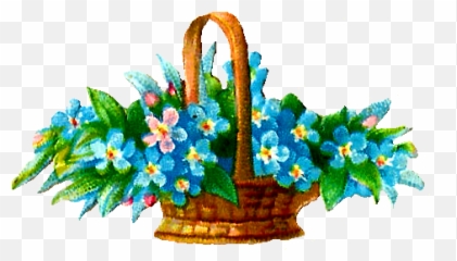 Antique Images Digital Flower Wildflowers Forget - Me Clip Art png