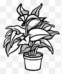 Clipcookdiarynet - Potted Plants Clipart Transparent Plant In A Pot Clipart Black And White Png,Plant Transparent Background