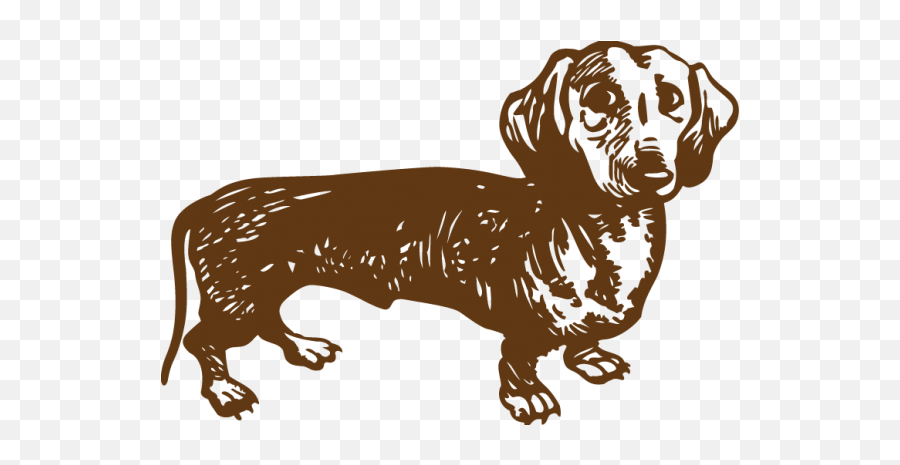 Index Of Wp - Contentuploads201503 Hound Png,Dachshund Png