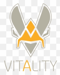 Vitality Vs Fnatic Preview - Team Vitality Logo Png,Fnatic Logo