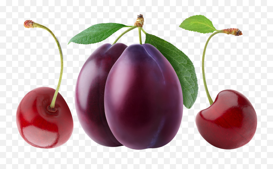 Cherry Plum Berry - Free Image On Pixabay Plum Fruit Png,Plum Png