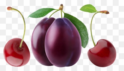 Cherry Plum Berry - Free Image On Pixabay Plum Fruit Png,Plum Png