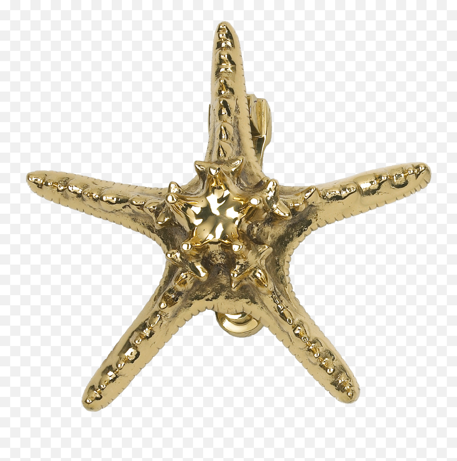 Starfish Hd Png Transparent Background Free Download - Door Knocker,Starfish Transparent Background