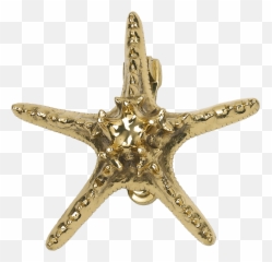 Starfish Hd Png Transparent Background Free Download - Door Knocker