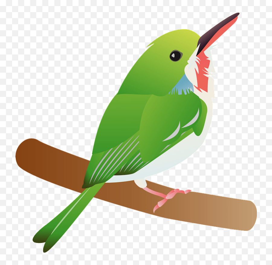 Download Tody Bird Clipart - Mountain Bluebird Hd Png Coraciiformes,Bird Clipart Png