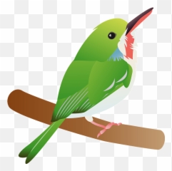 Download Tody Bird Clipart - Mountain Bluebird Hd Png Coraciiformes,Bird Clipart Png