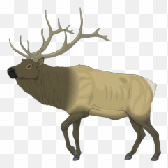 Free Clip Art - ClipartAndScrap Elk Art png