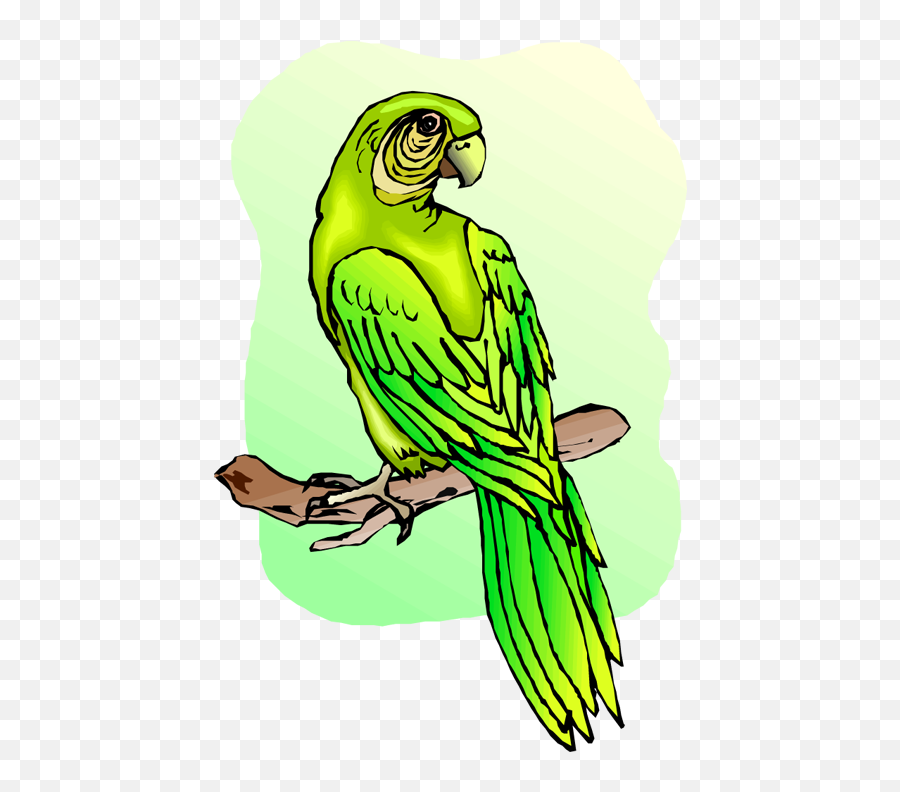Download Free Parrot And Macaw Clipart - Macaw Png Image Parrots,Macaw Png