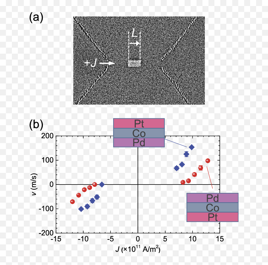 A Magnetic Domain Image Obtained Using The Magneto - Optical Diagram Png,Magneto Png