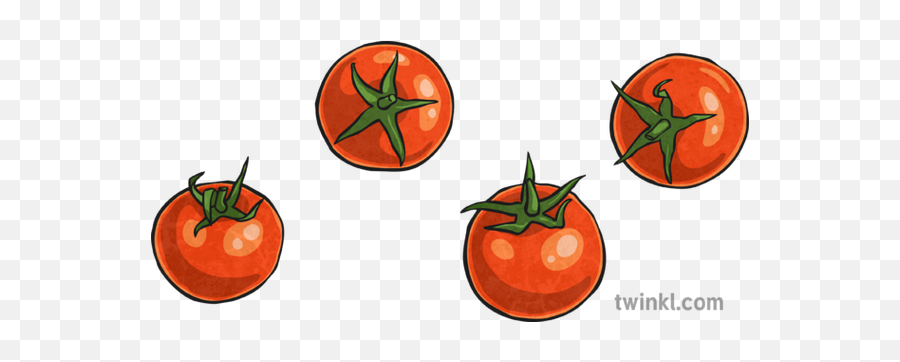 Cherry Tomatoes Illustration - Twinkl Png,Tomatoes Png
