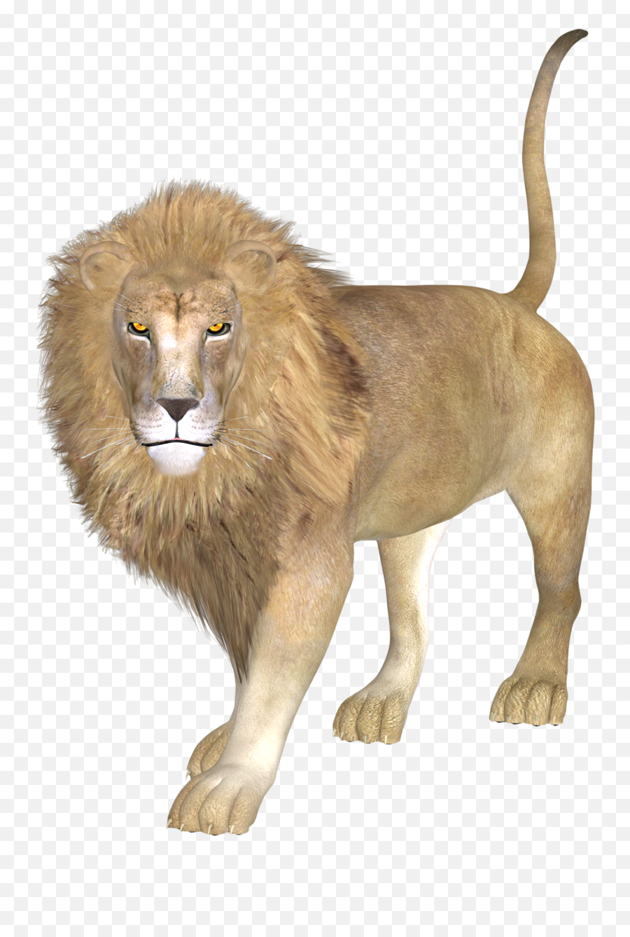 Free Png Lion - Konfest Leon Asiatico Png,Lion Roar Png