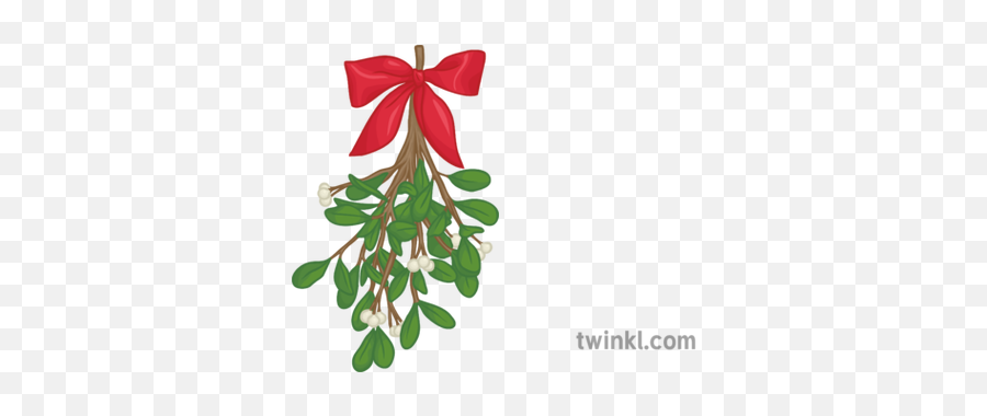 Mistletoe 2 Illustration - Twinkl For Holiday Png,Mistletoe Png