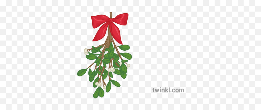 Mistletoe 2 Illustration - Twinkl For Holiday Png,Mistletoe Png Mistletoe 2 Illustration - Twinkl For Holiday Png,Mistletoe Png