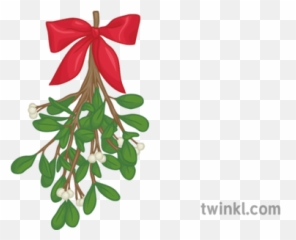 Mistletoe 2 Illustration - Twinkl For Holiday Png,Mistletoe Png