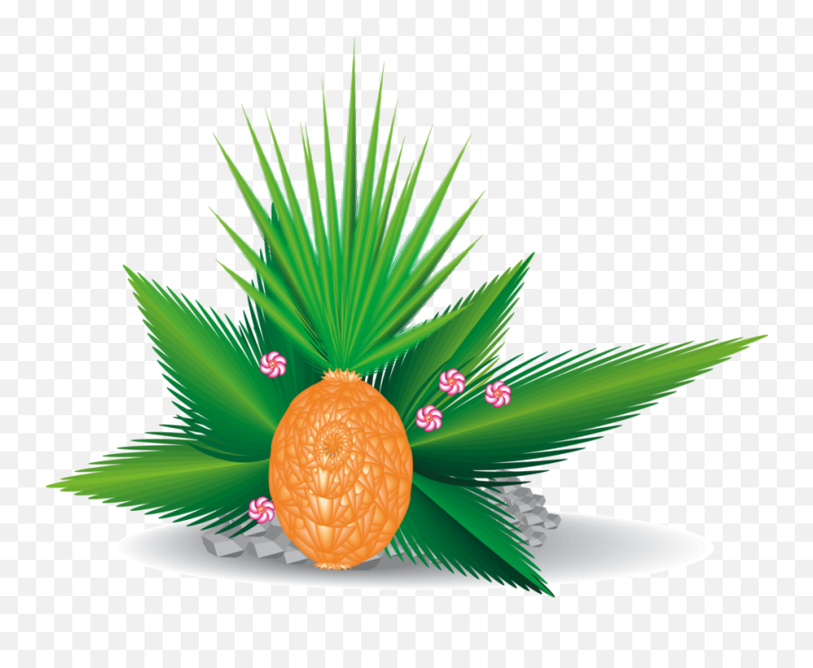 Plantleafarecales Png Clipart - Royalty Free Svg Png Plantas Del Mar Png,Palm Fronds Png
