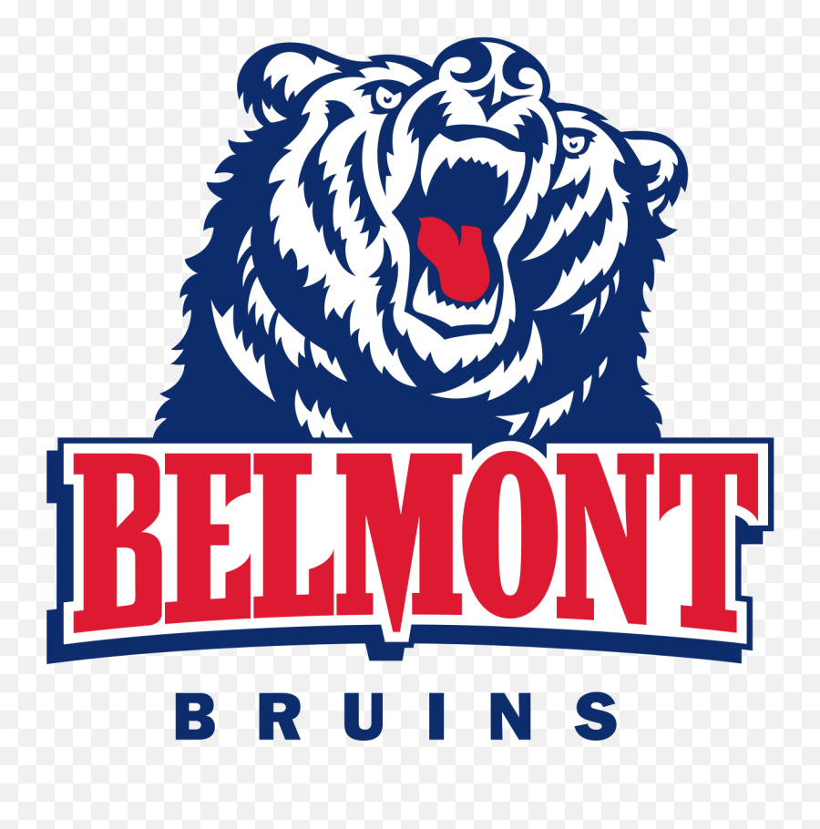 Belmont Bruins Colors Hex Rgb And Cmyk - Team Color Codes Belmont Bruins Png,Bruins Logo Png