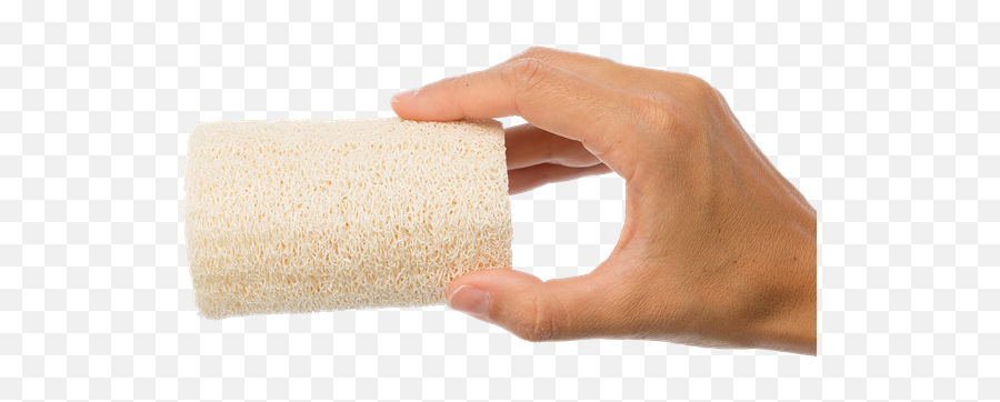 Loofah Sponge Anyah Gfl Skin Care - Carpet Png,Sponge Png