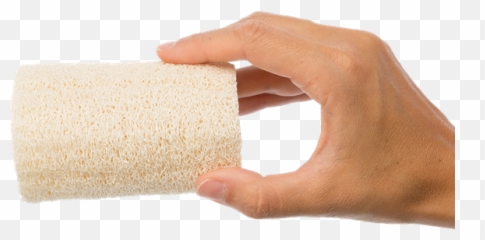 Loofah Sponge Anyah Gfl Skin Care - Carpet Png,Sponge Png