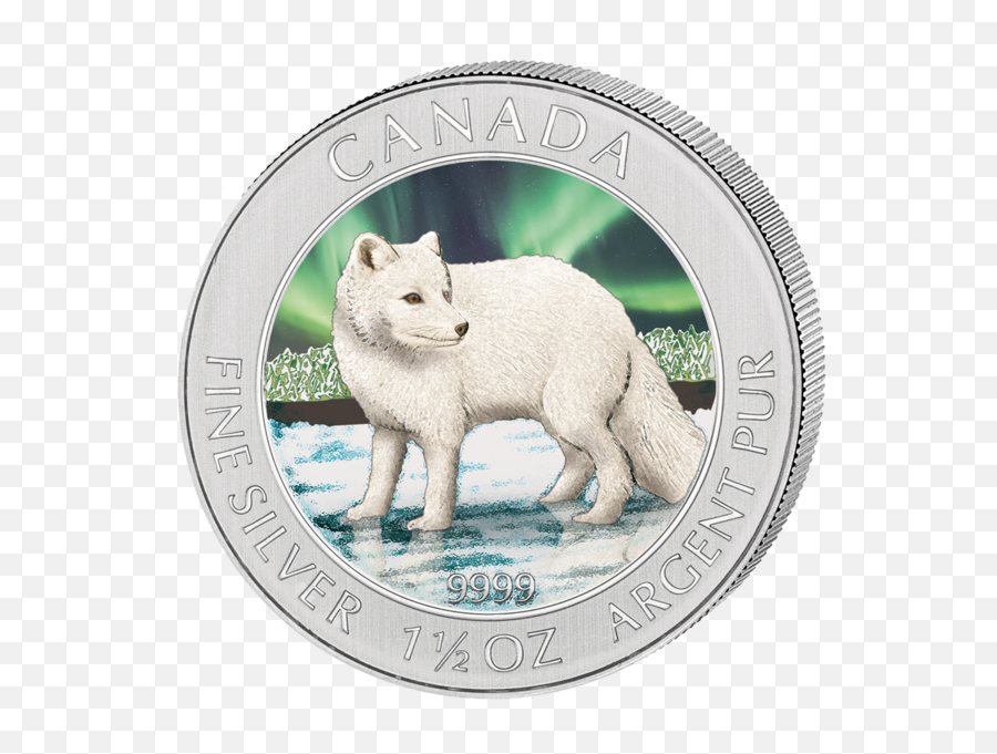 2014 1 - Arctic Fox Png,Arctic Fox Icon