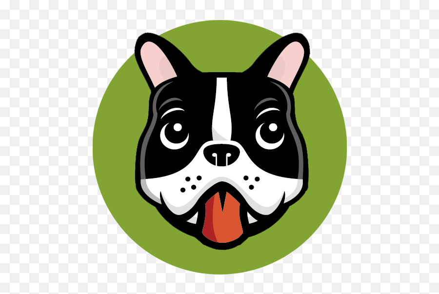Pogiu0027s Pet Supplies - Plantbased Pet Essentials Language Png,Free Dog Icon