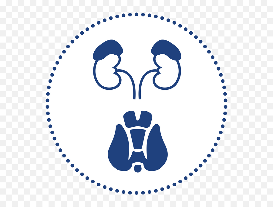 Adrenogen U2013 My Dna Choices - Plate Mf165 Friction Disc Png,Endocrine Icon