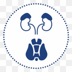 Adrenogen U2013 My Dna Choices - Plate Mf165 Friction Disc png