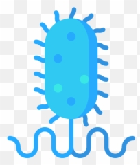 Bacteria - Free education icons Language png
