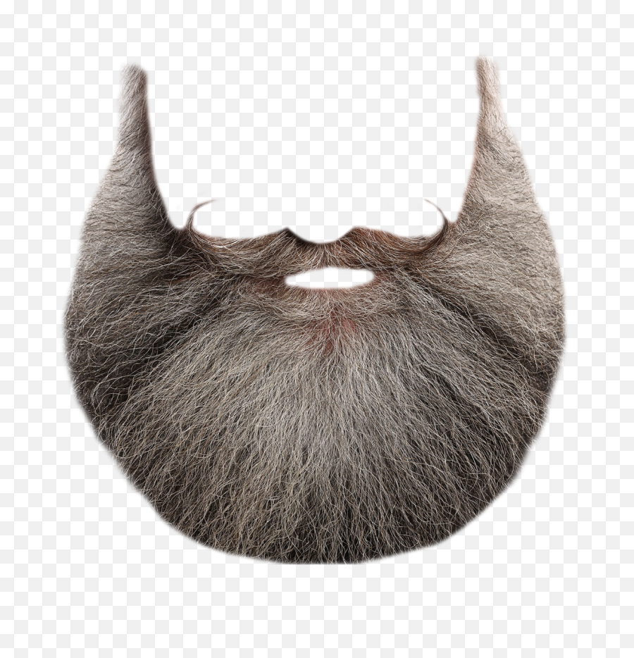 Beard Png Transparent Free Images - Santa Claus Beard Png,Beard Transparent Background