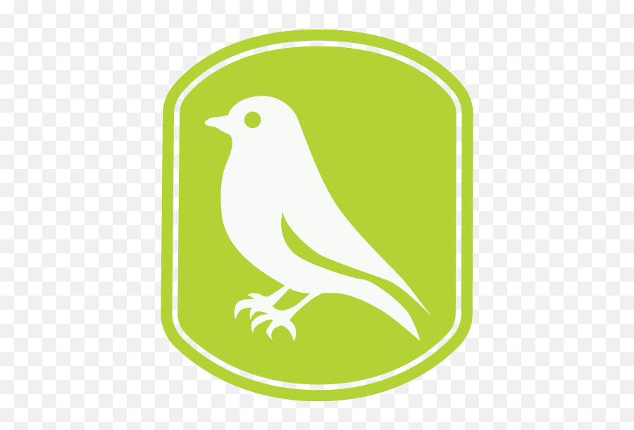 Camp Landsat Science - Old World Flycatchers Png,Summer Camp Kid Snorkel Icon