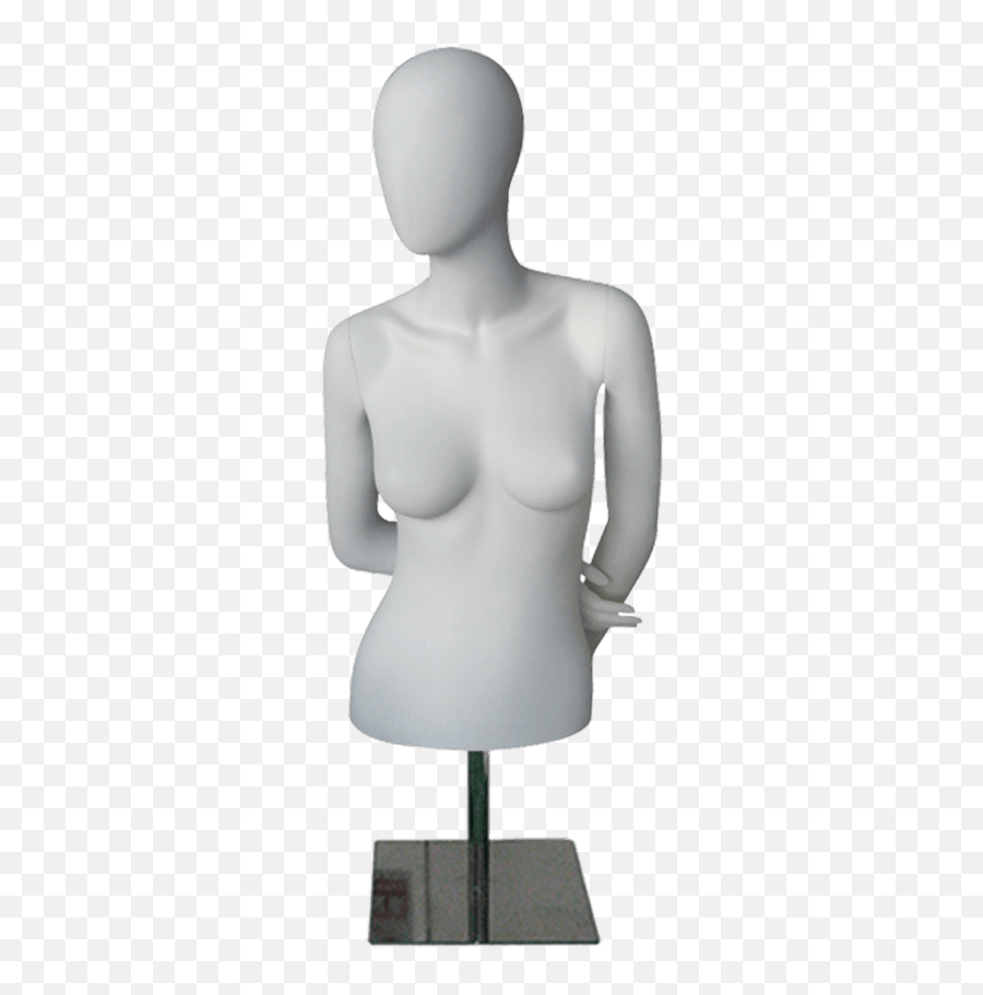 Female Torso U0026 Elements - Old U2014 Bernstein Display Figurine Png,Mannequin Png