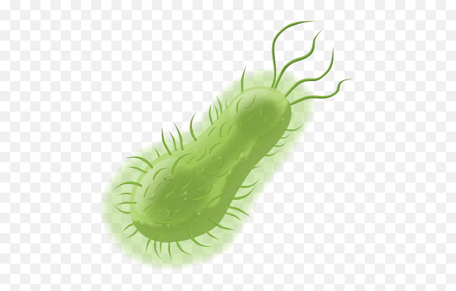 Filebacteriapng - Bacterial Takeover Prokaryote Png,Plankton Png