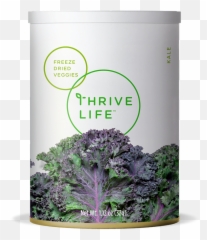 Kale Freeze Dried Vegetables - Broccoli Png,Kale Png
